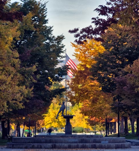 eagle-flag